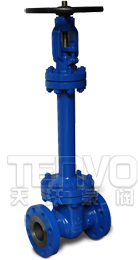 德標波紋管閘閥