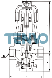 BRV2直接作用式減壓閥