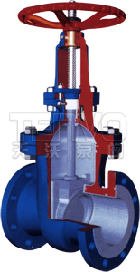 chenfu_zhafa02.png解剖圖