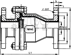 立式襯氟止回閥結(jié)構(gòu)圖