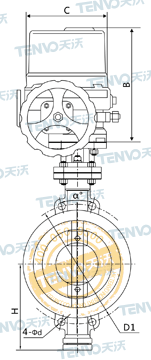 D973H對夾式電動硬密封蝶閥結構圖