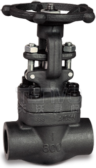 內(nèi)螺紋鍛鋼閘閥實(shí)物圖