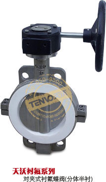對(duì)夾式分體半襯氟蝶閥