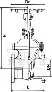 Z41H明桿楔式閘閥結(jié)構(gòu)圖