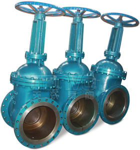 Z41H明桿楔式閘閥實(shí)物圖