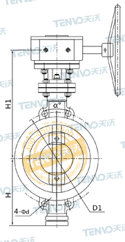 對(duì)夾式多層次三偏心金屬硬密封蝶閥結(jié)構(gòu)圖