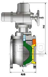 電動(dòng)上裝式偏心半球閥結(jié)構(gòu)圖