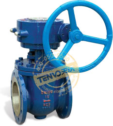 上裝式偏心半球閥