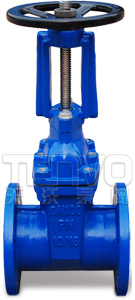 明桿彈性座封閘閥實(shí)物圖