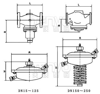 V130/131自力式流量調(diào)節(jié)閥結(jié)構(gòu)圖