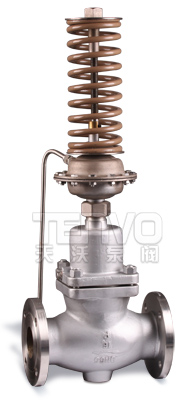 V230/231自力式壓力/壓差調(diào)節(jié)閥實物圖