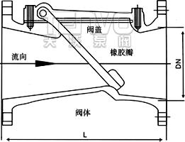 SFCV橡膠瓣止回閥結構圖