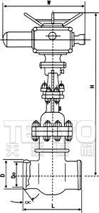 電動對焊式真空隔離閘閥結(jié)構(gòu)圖