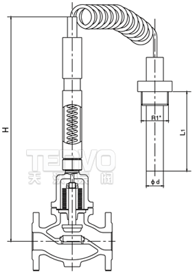 ZZWP自力式溫度調(diào)節(jié)閥結(jié)構(gòu)圖